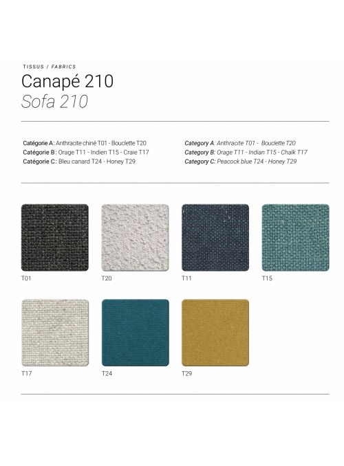 CANAPE 210