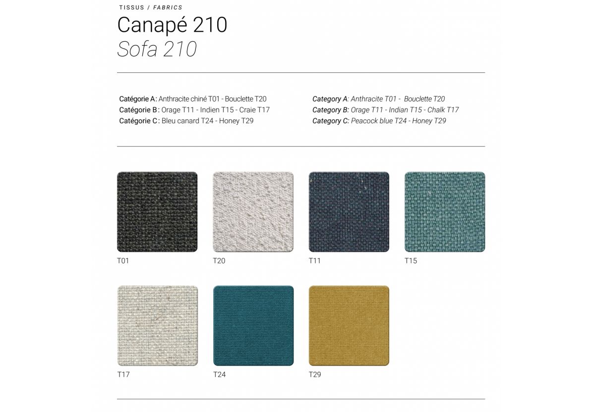 CANAPE 210