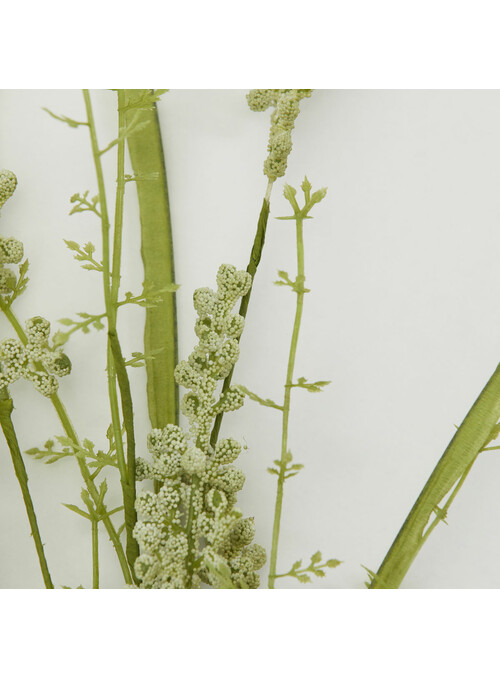 Fleur, Gypsophila, Blanc