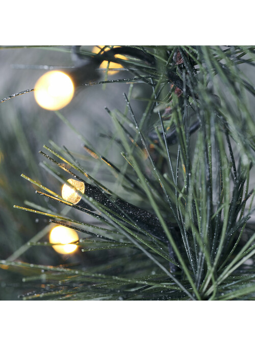 Sapin de Noêl, Nature