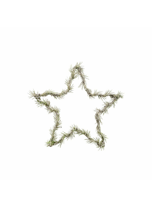 Couronne, Star, Nature