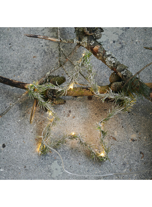 Couronne, Star, Nature