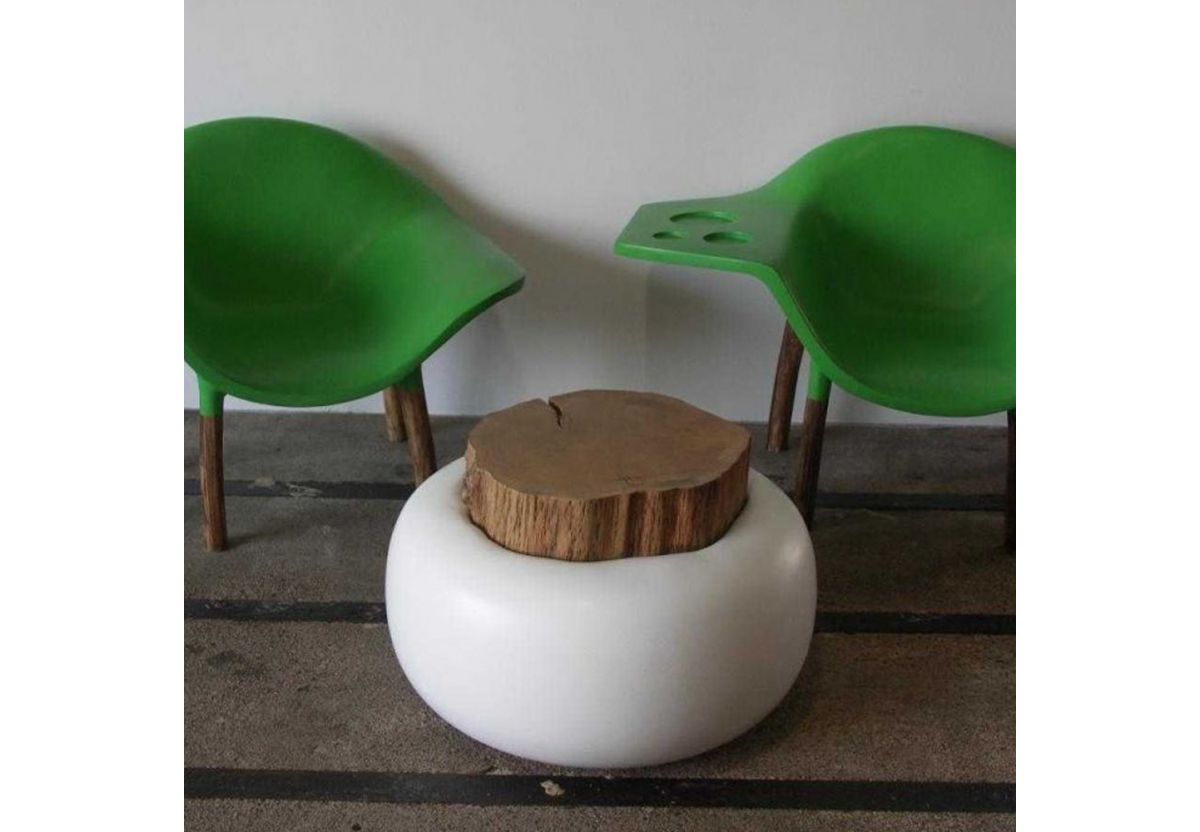 TABLE BASSE CHAMPIGNON